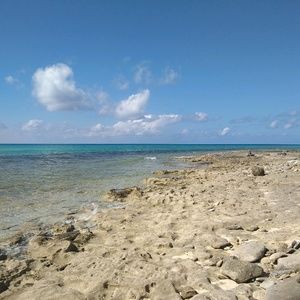 Meet your Posher, Robyn